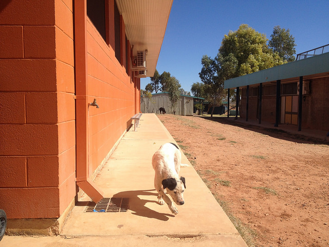 15073259586_ee5b350f5f_z